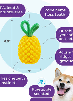 Outward Hound Dental Pineapple