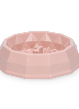 Pawise My Slow Feeding Bowl S
