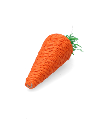 Pawise Play & Chew Carrot