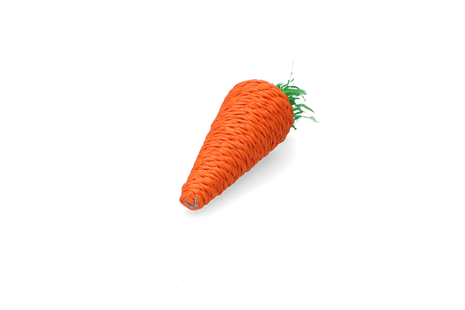 Pawise Play & Chew Carrot