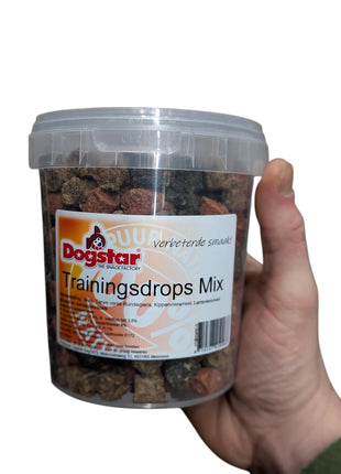 Ténis Dogstar Colour Mix