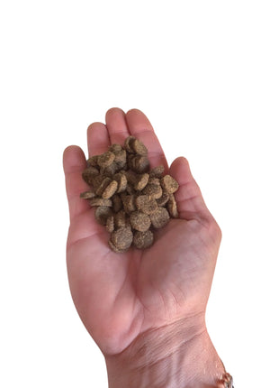 Ração seca Acana Classic Red para cães - Alimento completo com carne de borrego, vaca e porco - 2 kg, 9,7 kg, 14,5 kg