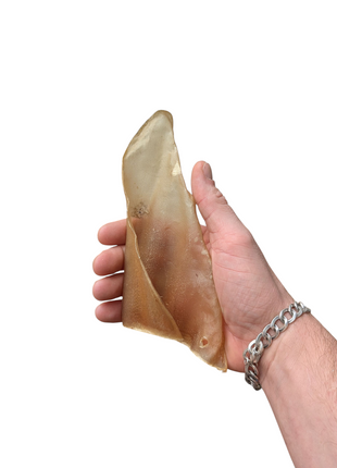 Fidello Snack Pack para Cães – O snack perfeito para cachorros e cães adultos.