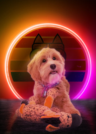 Retrodog Donkey Oranje