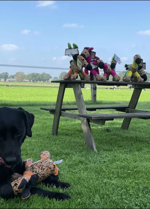 Retrodog Donkey Geel