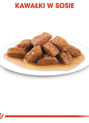 Royal Canin Medium Adult karma mokra w sosie dla psów dorosłych, ras średnich saszetika 140g