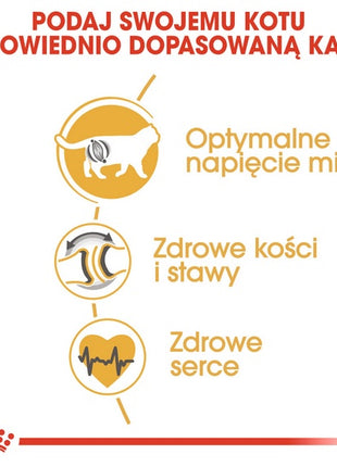 Royal Canin British Shorthair Adult karma sucha dla kotów dorosłych rasy brytyjski krótkowłosy 400g