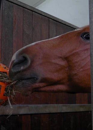 Hay Slow Feeder Fun & Flex Groen