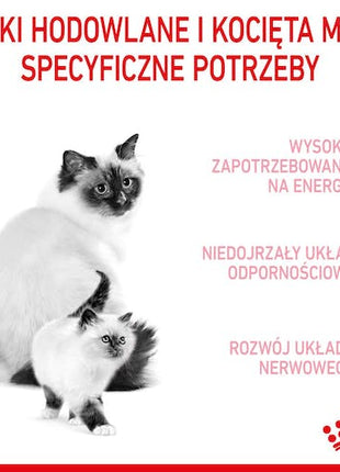 Royal Canin Mother&Babycat karma sucha dla kotek w okresie ciąży, laktacji i kociąt od 1 do 4 miesiąca 4kg