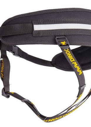 Dingo Pas do biegania Profi - 4 możliwości zapinania