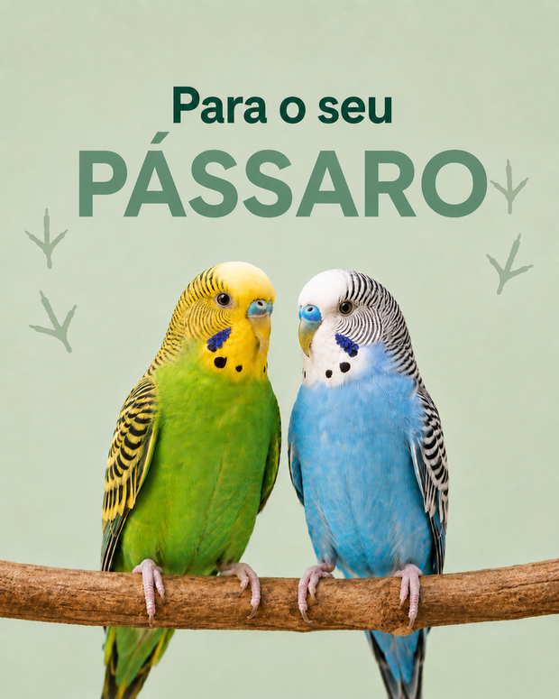 Banner image for: 
