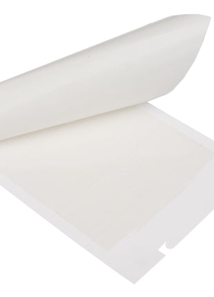 Zapi Zap Trap lijmval voor muizen en insecten 15x21cm