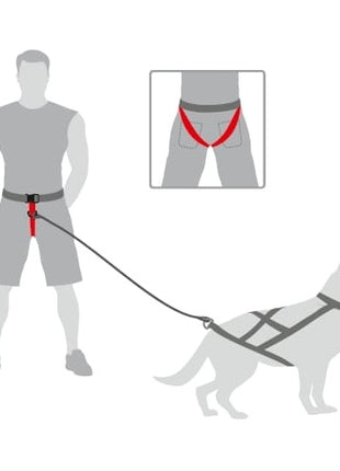 Dingo Pas do biegania Profi - 4 możliwości zapinania