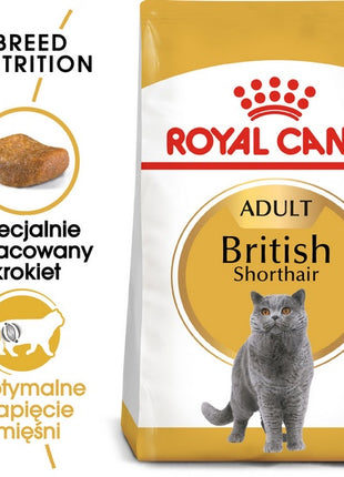 Royal Canin British Shorthair Adult karma sucha dla kotów dorosłych rasy brytyjski krótkowłosy 4kg