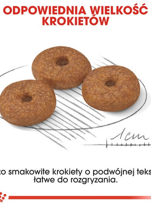 Royal Canin Mini Ageing 12+ karma sucha dla psów dojrzałych po 12 roku życia, ras małych 800g