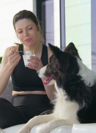 YowUp! Yogurt Dogs Articular Chicken