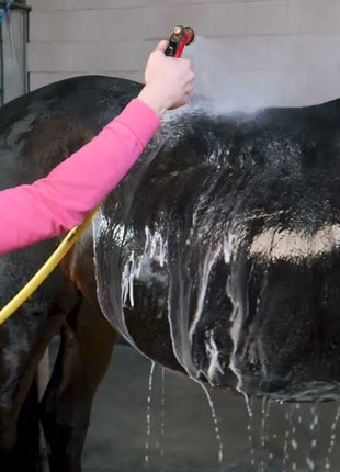 Excellent Horse Grooming Brush Zwart