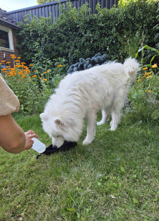 Garrafa de viagem Petgear – Garrafa de água e bebedouro num só, ideal para levar para qualquer lugar.