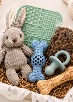 Fidello pacote de presente para um novo cachorro – pacote de boas-vindas com brinquedos, snacks e tapete de lamber