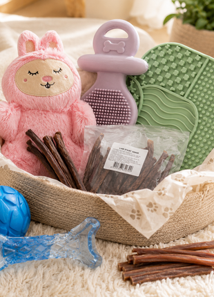 Fidello pacote de presente para um novo cachorro – pacote de boas-vindas com brinquedos, snacks e tapete de lamber